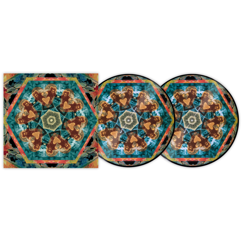 Serato Pressings  X GASLAMP KILLER BREAK STUFF 2 X 1" Picture Disc Vinyl Set