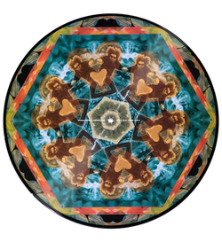 Serato Pressings  X GASLAMP KILLER BREAK STUFF 2 X 1" Picture Disc Vinyl Set